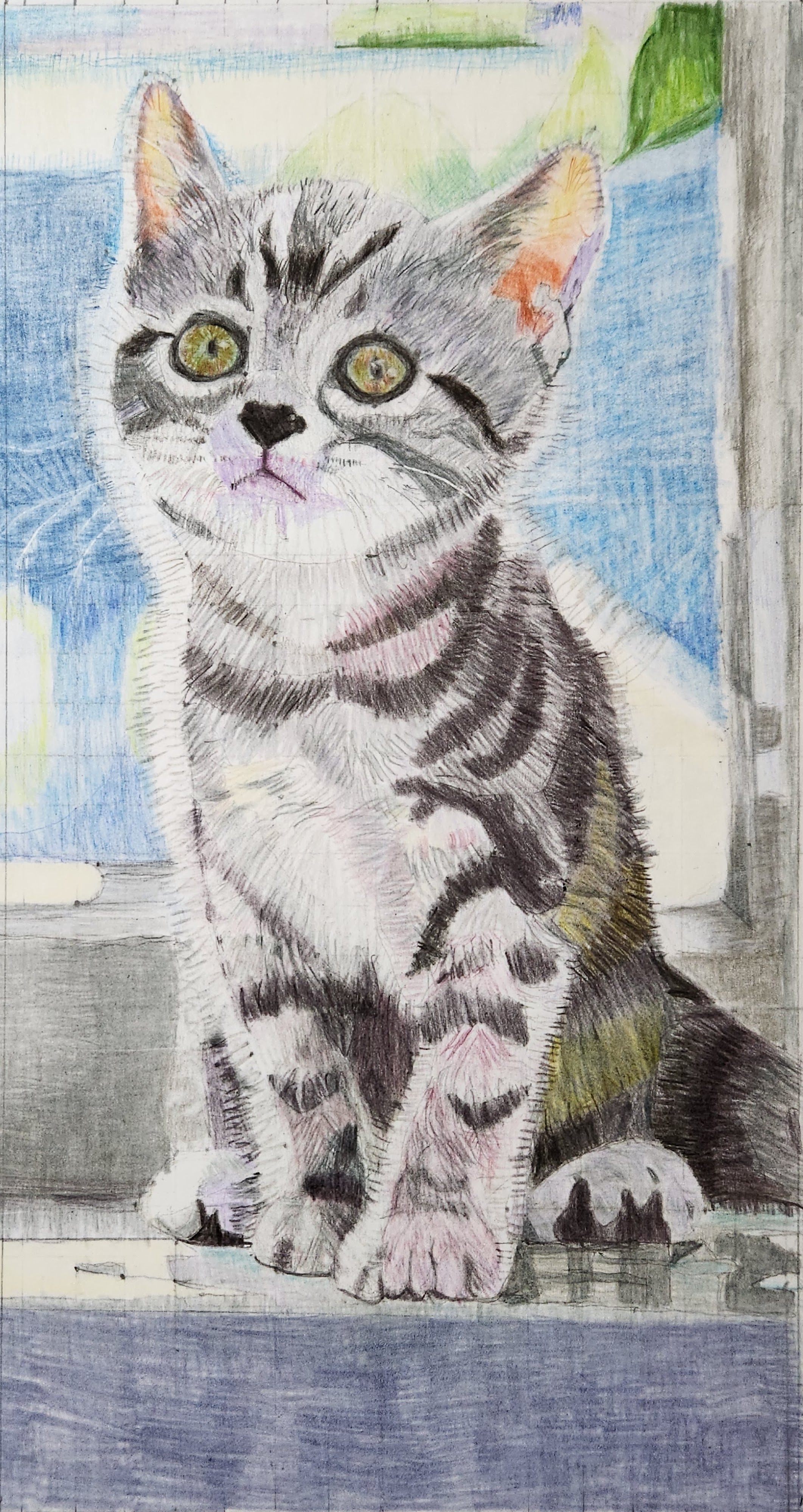 動物1